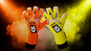 2X1 HIVIS