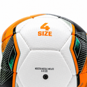 Football Ball'24