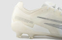 ICE AG 10